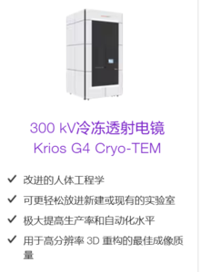 300 kV冷冻透射电镜 Krios G4 Cryo-TEM